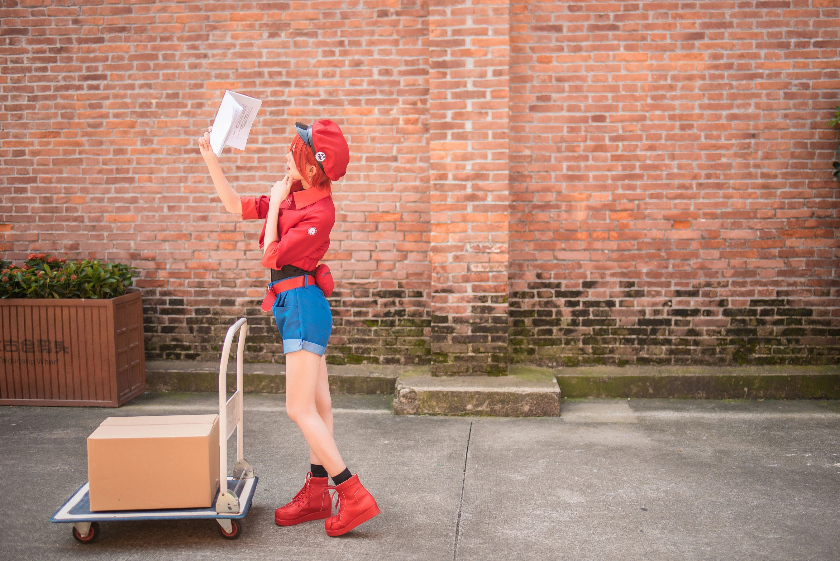 动漫博主Kitaro_绮太郎 工作细胞-渣男图社